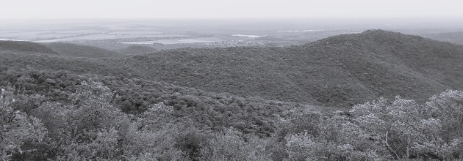 banner_image