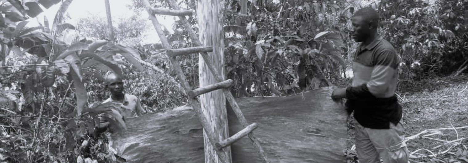 banner_image