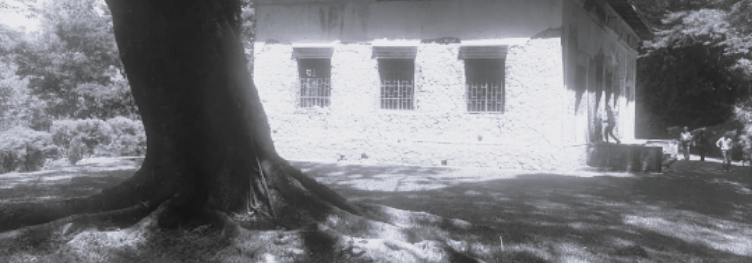 banner_image