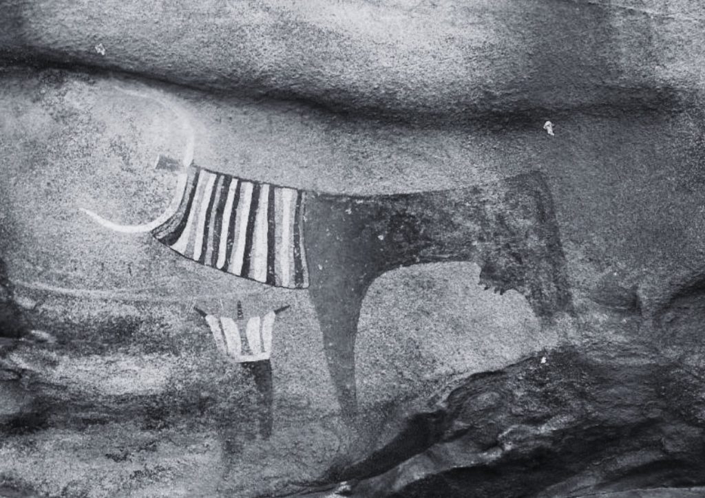 Detail of the Laas Geel cave paintings near Hargeysa, showing a cow accompanied by a human being. This image is the most unusual one in the collection, the cow appears to be draped in ceremonial robes.
