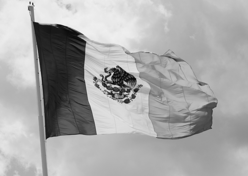 Mexican Flag Waving 